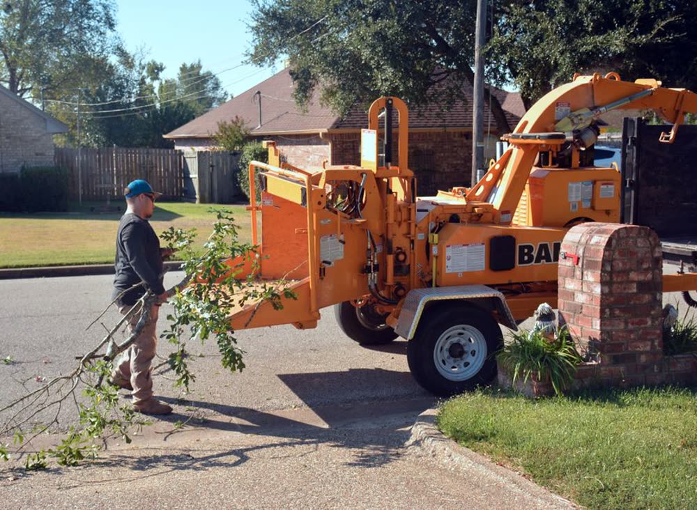 Tree Health & Cabling